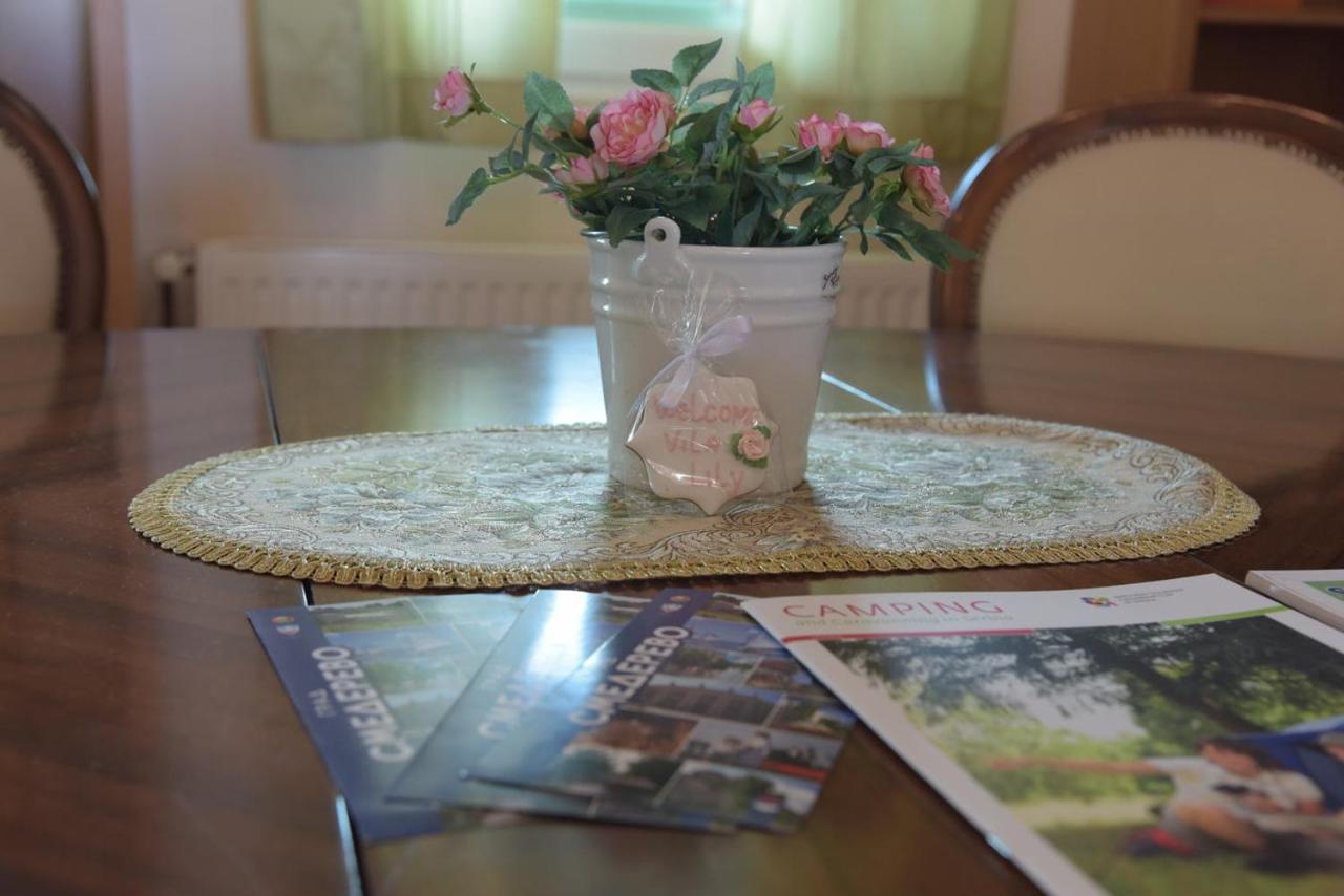 Villa Vila Lily à Smederevo Extérieur photo