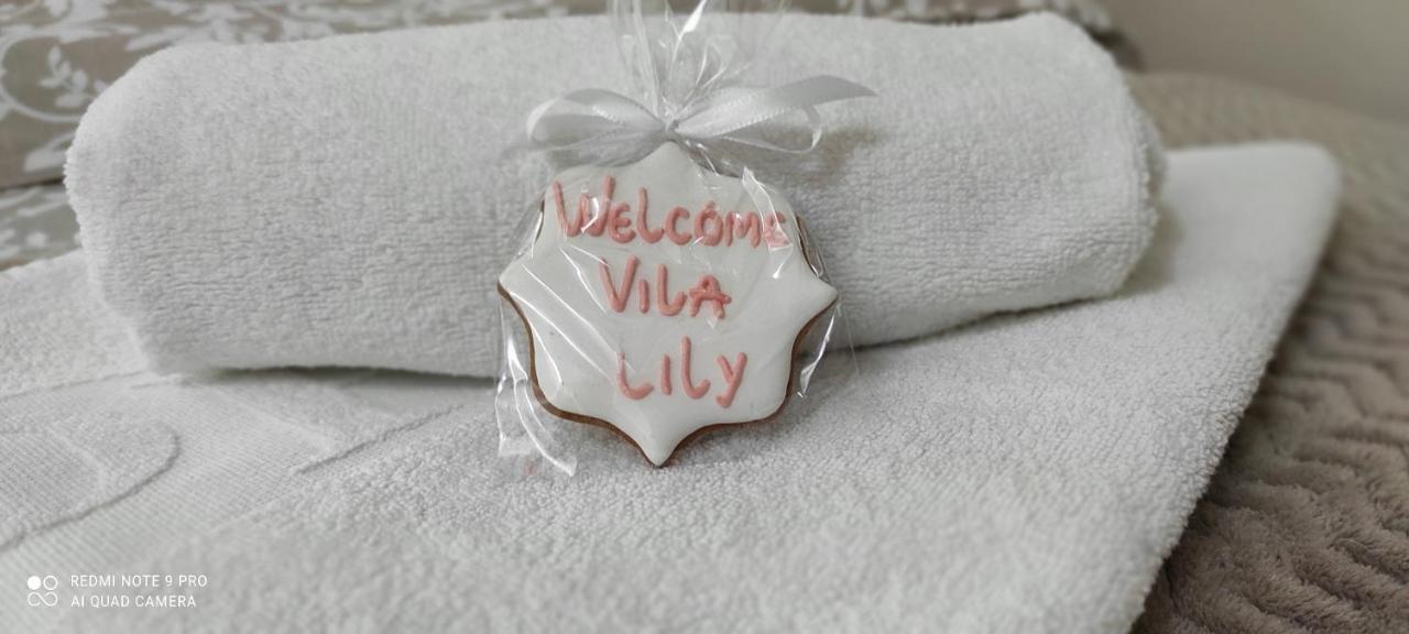 Villa Vila Lily à Smederevo Extérieur photo